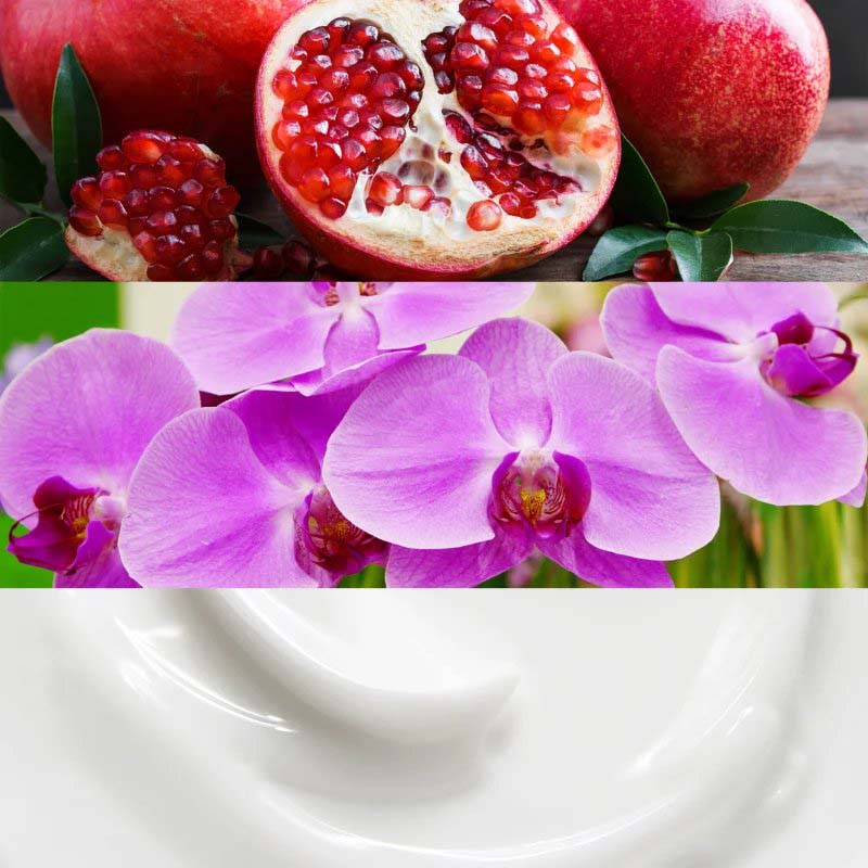 'Euphoria' Eau De Parfum - 100 ml