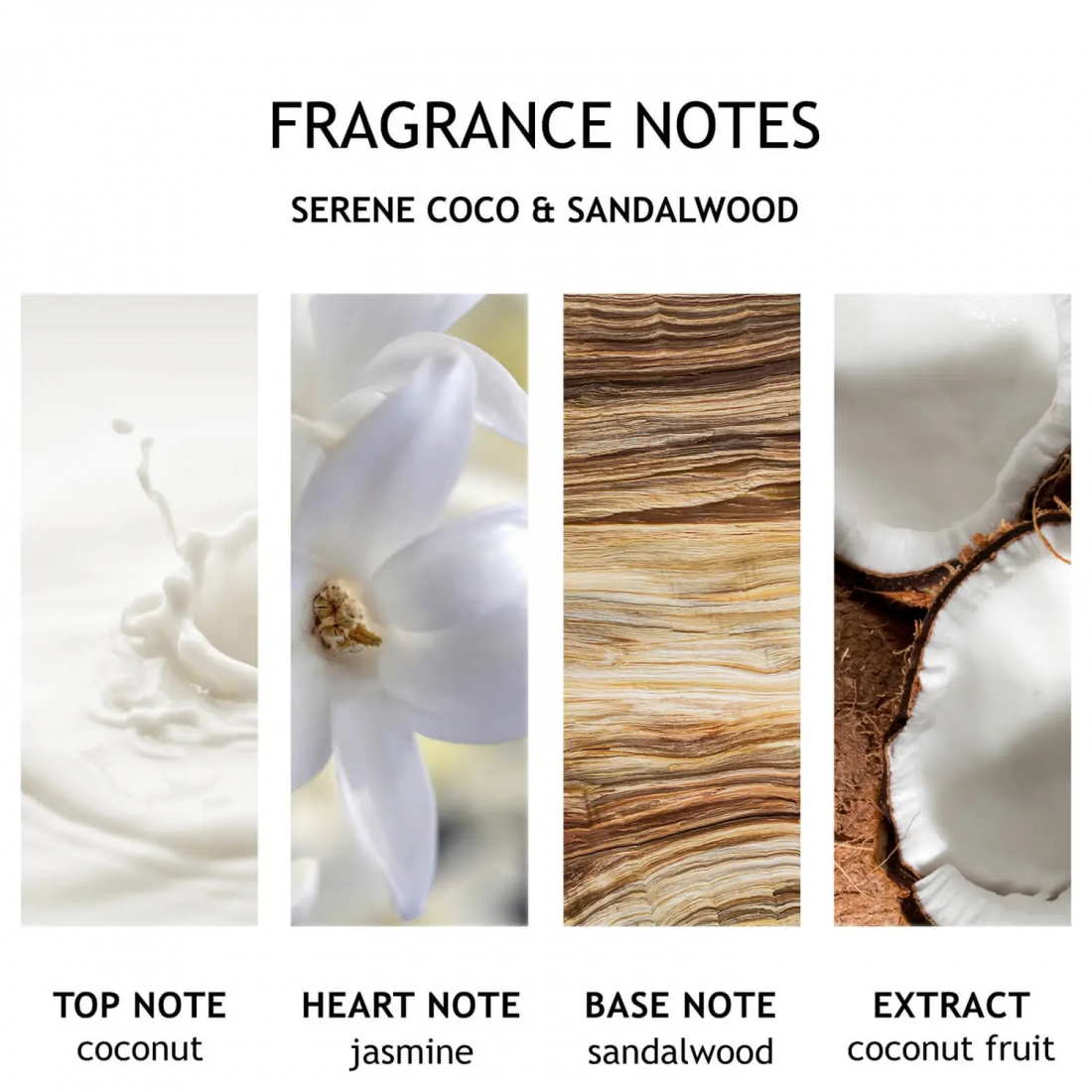 'Coco & Sandalwood' Kerze - 480 g