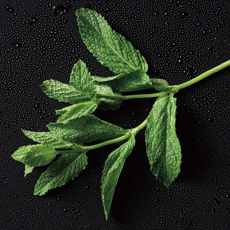 Eau de toilette 'Polo Red Rush' - 40 ml