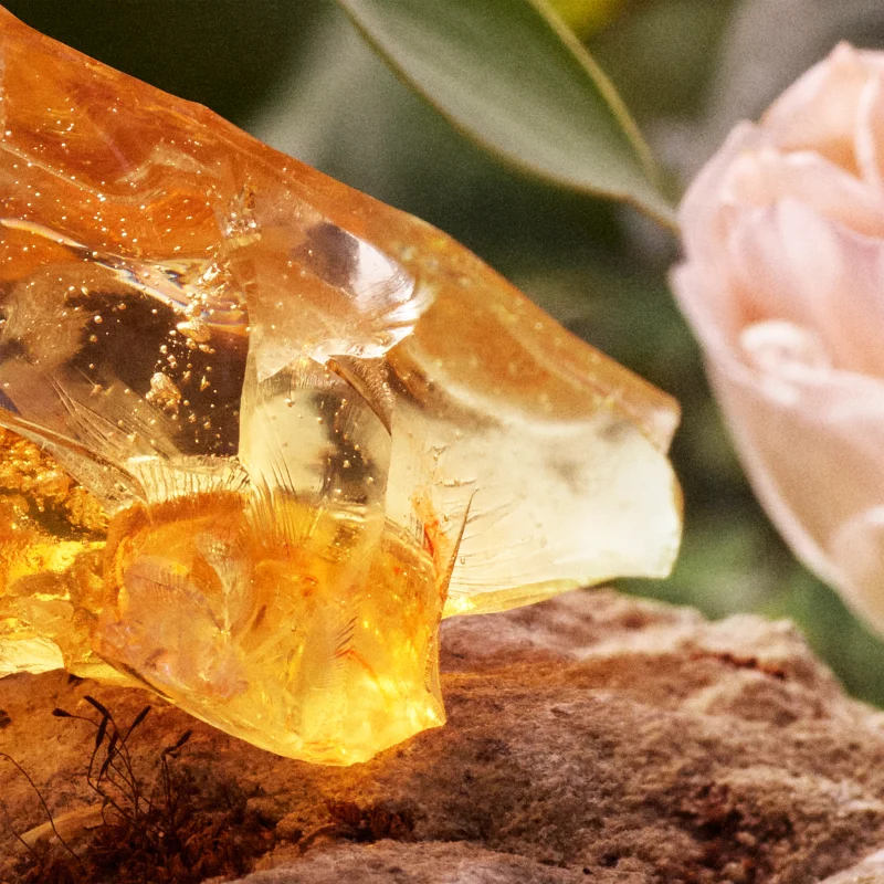 Eau de Parfum - Rechargeable 'Signature' - 75 ml