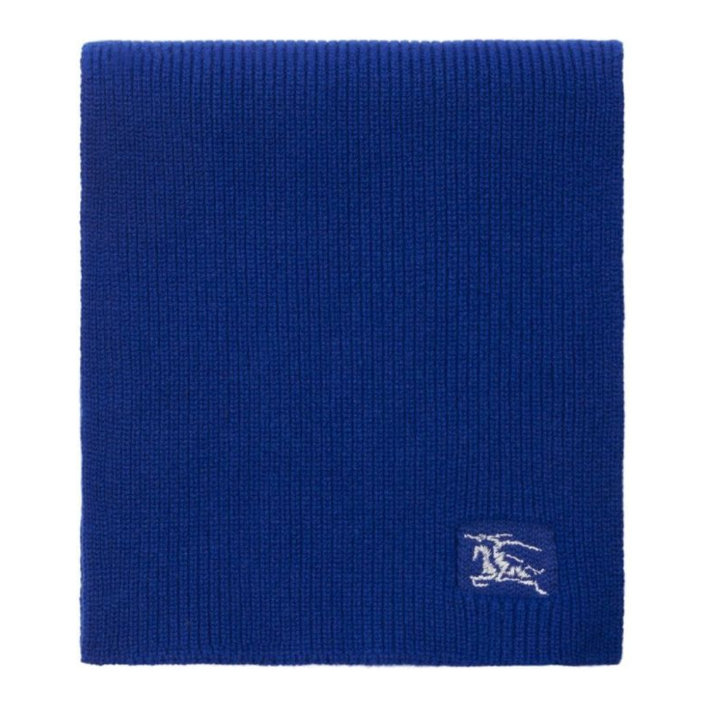 Écharpe en cachemire  'EKD Embroidered' pour Hommes