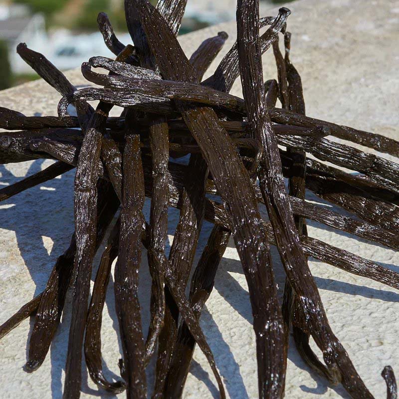 Eau de parfum 'Devotion' - 50 ml