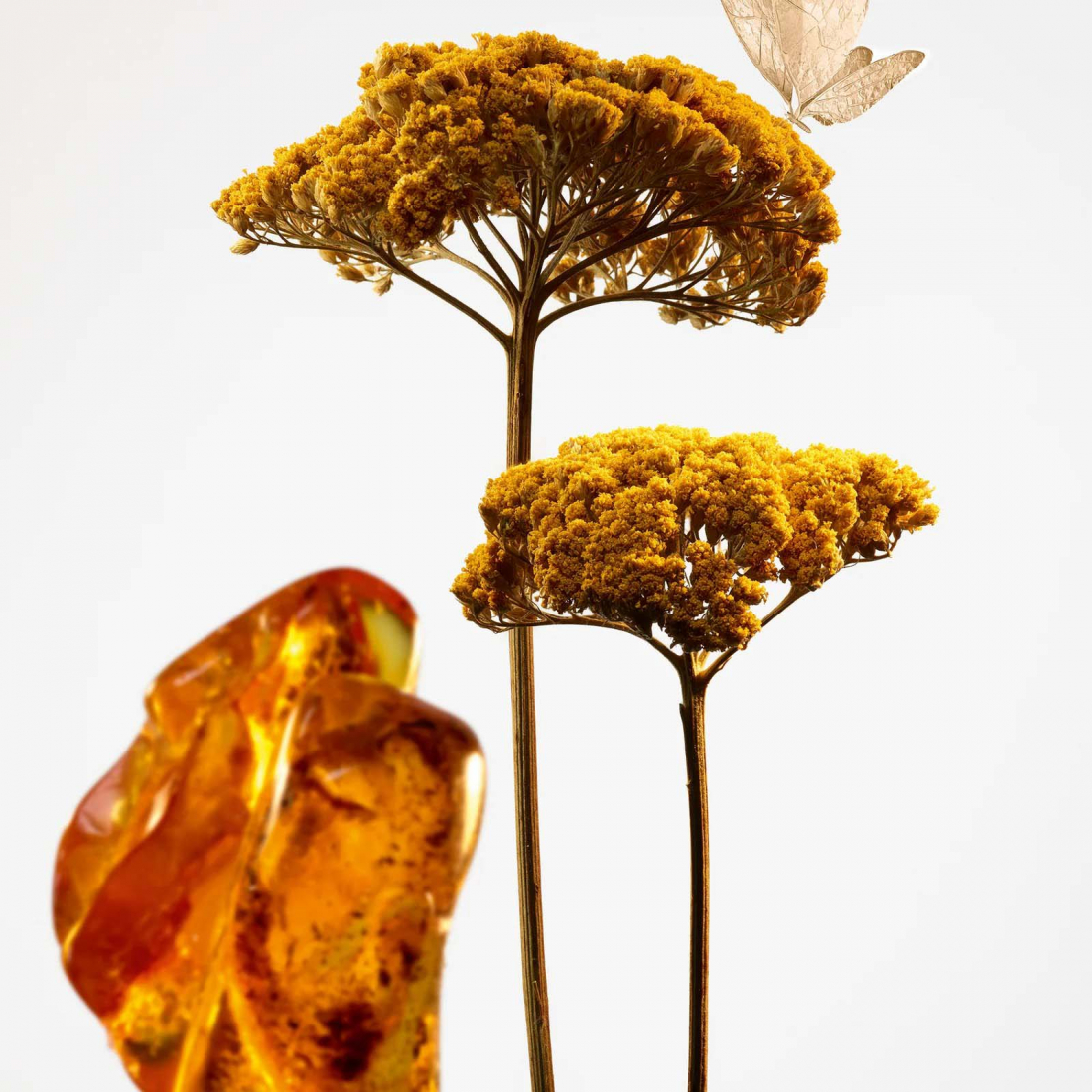 Eau de toilette 'Sables' - 100 ml