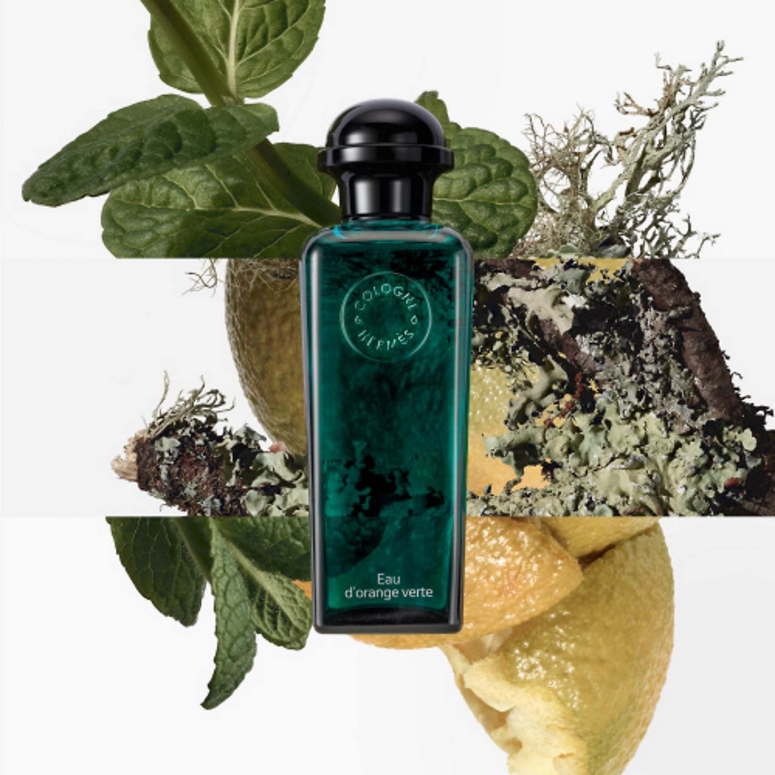 Eau de Cologne 'Eau d'Orange Verte' - 50 ml