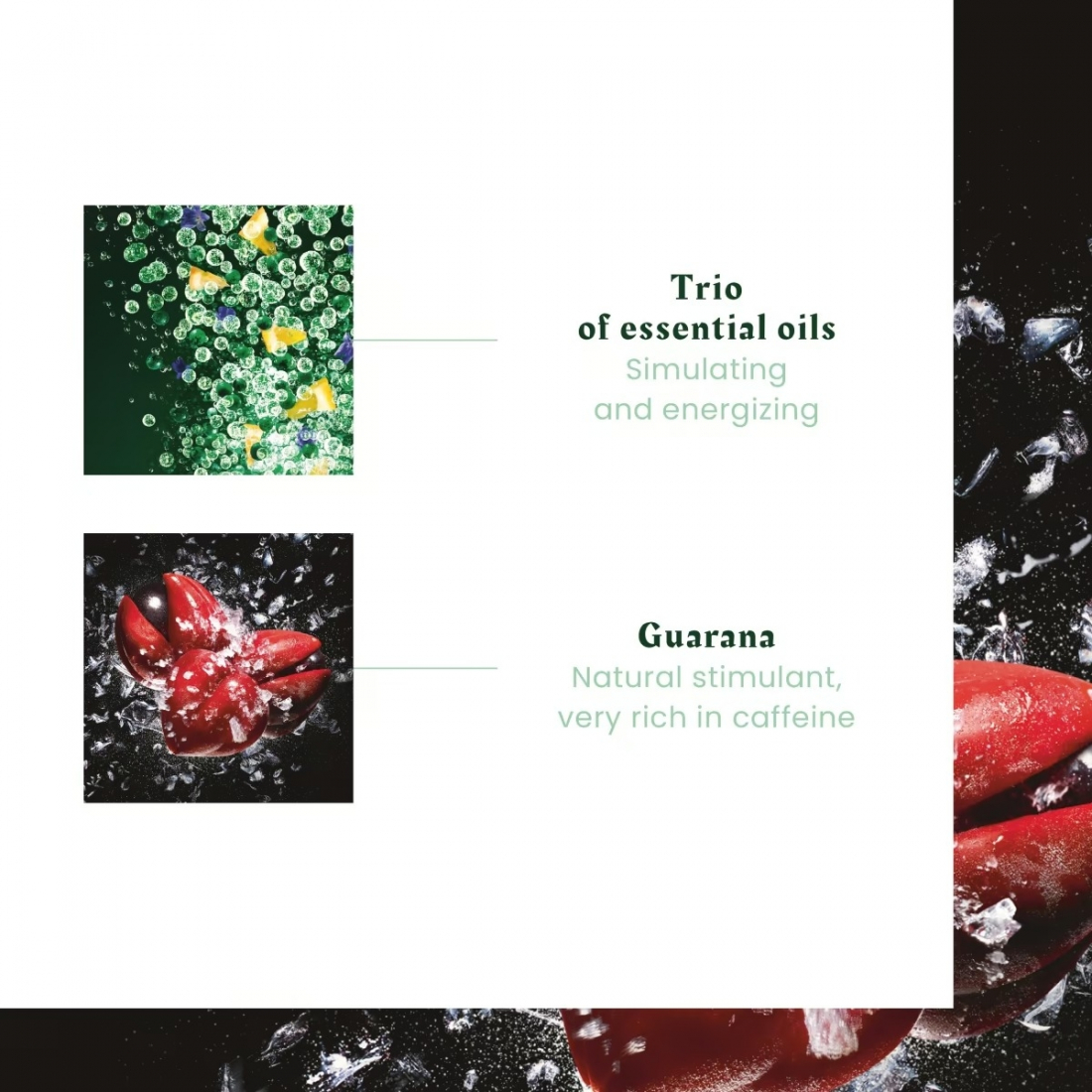 'Forticea Shampooing Energisant Stimulant Anti-Chute' - 200 ml