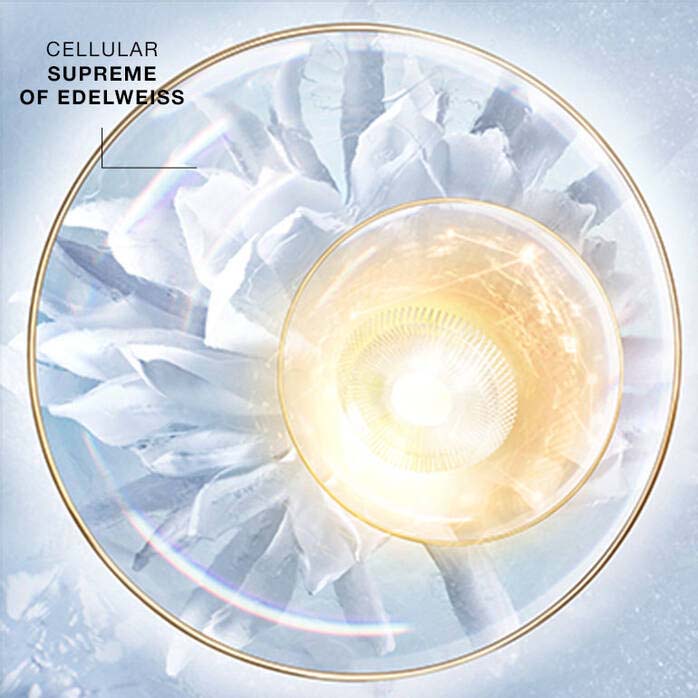 Sérum Hydratant 'Prodigy Cell Glow Concentrate' - 100 ml