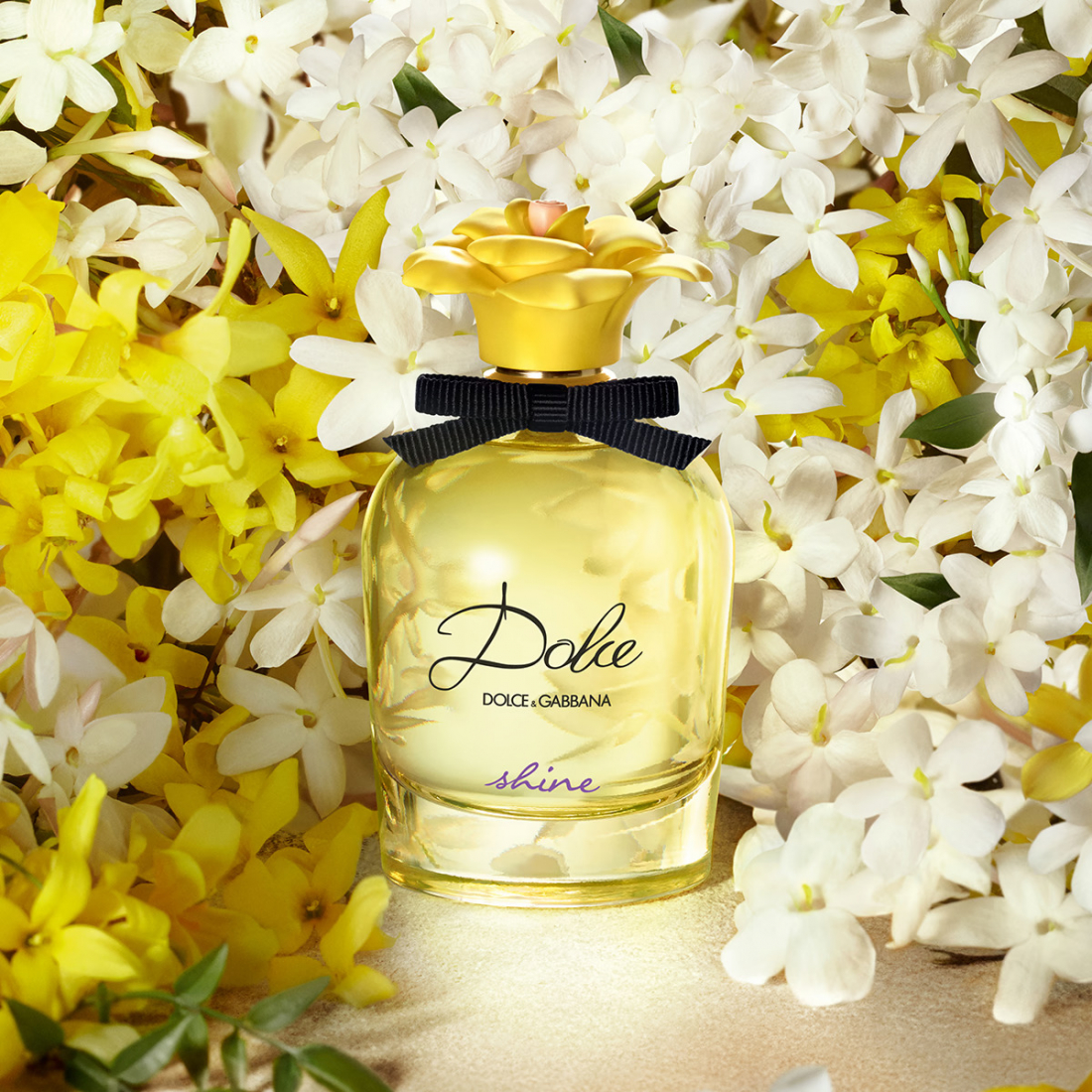 'Dolce Shine' Eau De Parfum - 75 ml
