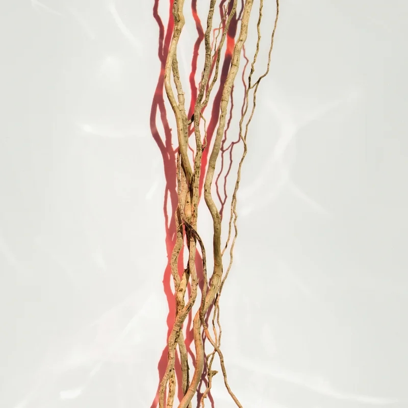 Parfum 'Alive' - 30 ml