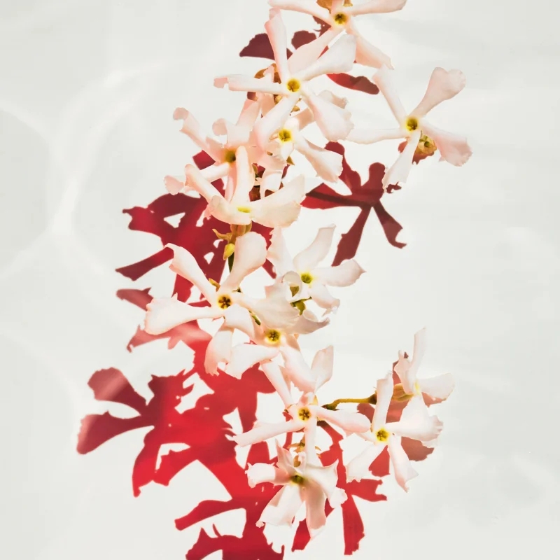 Parfum 'Alive' - 30 ml