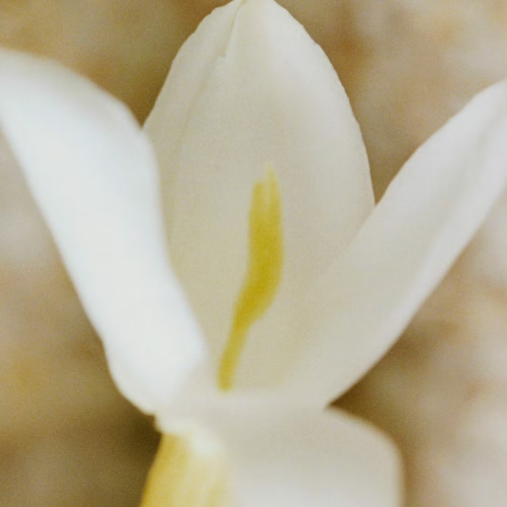 Eau de parfum 'Nomade Jasmine Naturelle Intense' - 30 ml