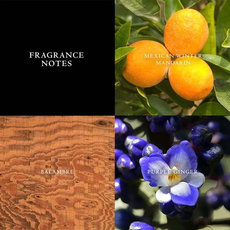 Eau de toilette 'Artisan' - 125 ml