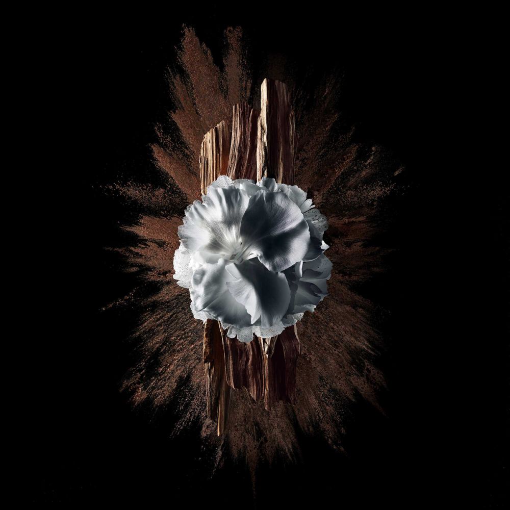 Eau de parfum 'Gentleman Society Extrême' - 60 ml