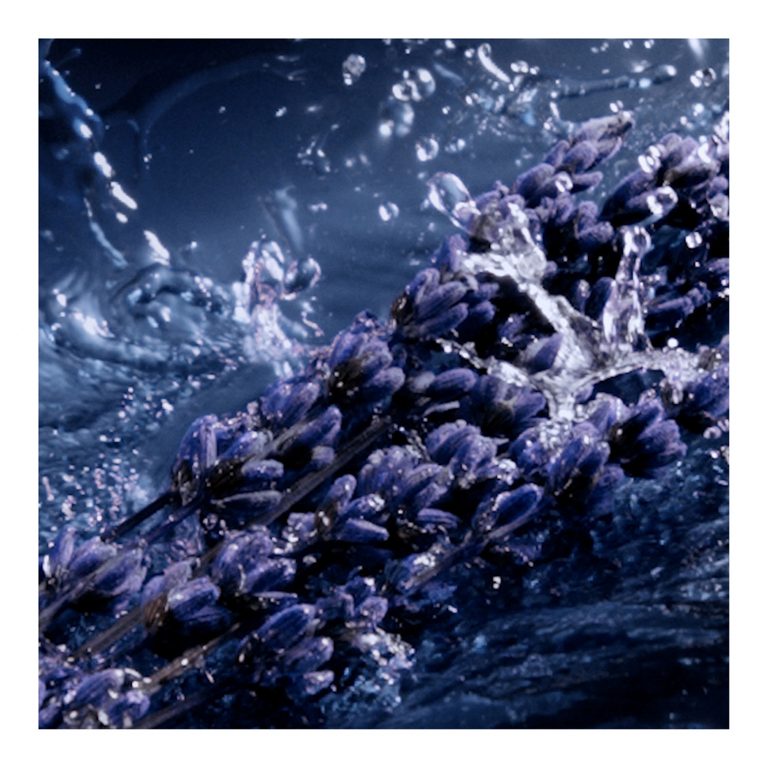 Parfum 'Y L'Elixir' - 60 ml