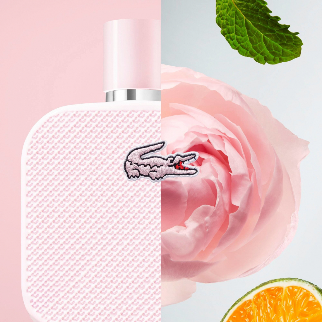 Eau de parfum 'L.12.12 Rose' - 50 ml