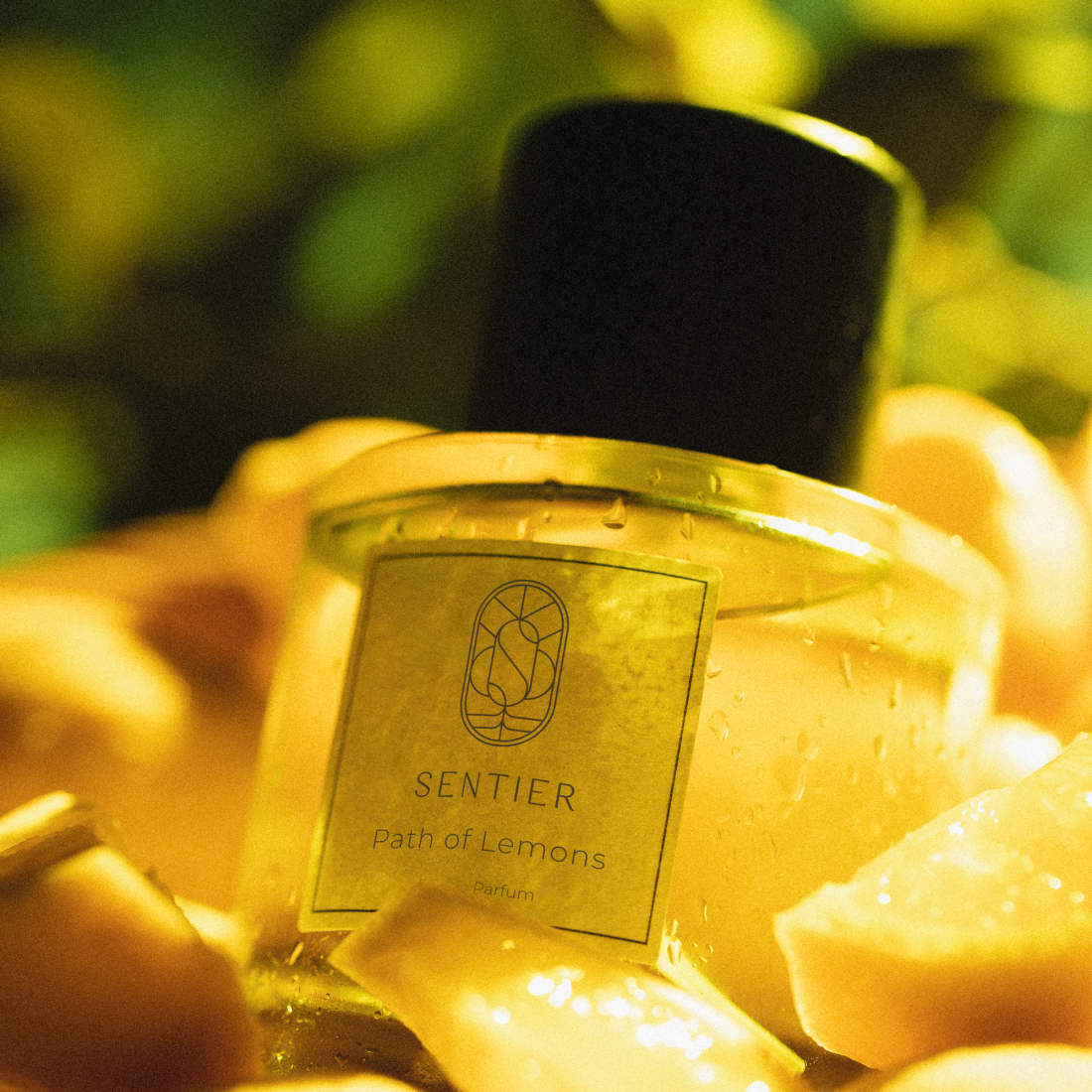 Eau de parfum 'Path of Lemons' - 100 ml