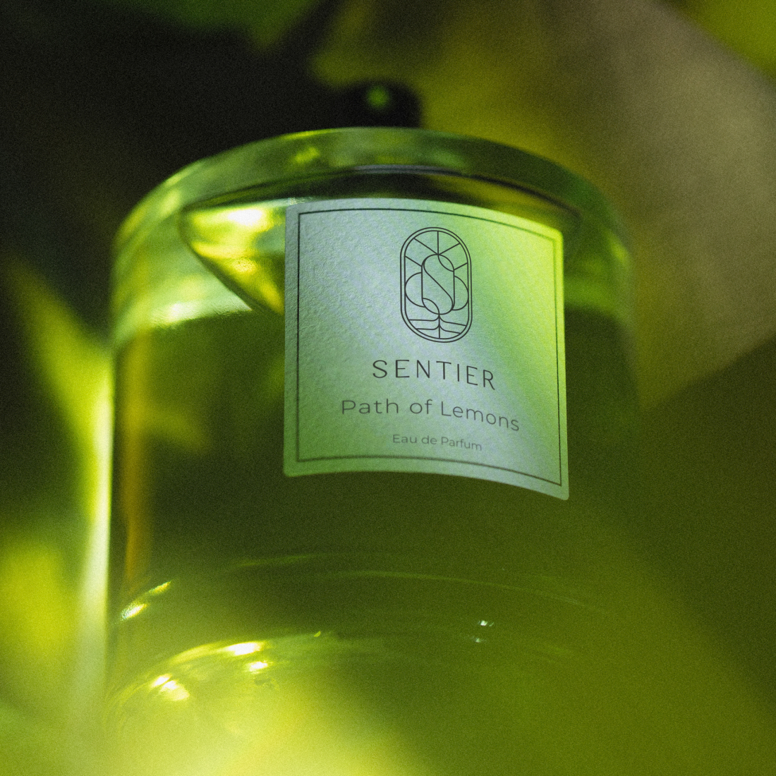 Eau de parfum 'Path of Lemons' - 100 ml