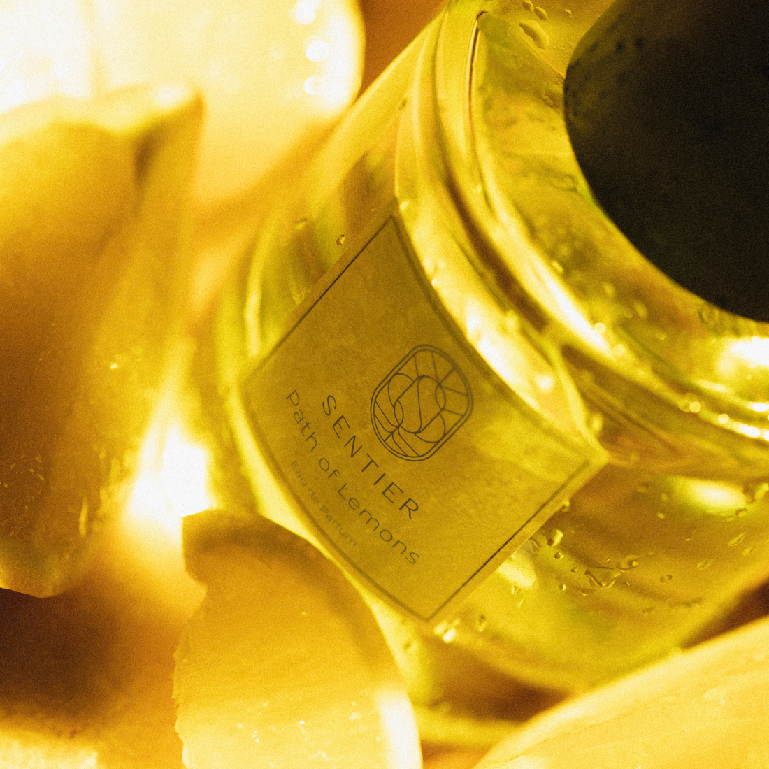 Eau de parfum 'Path of Lemons' - 100 ml