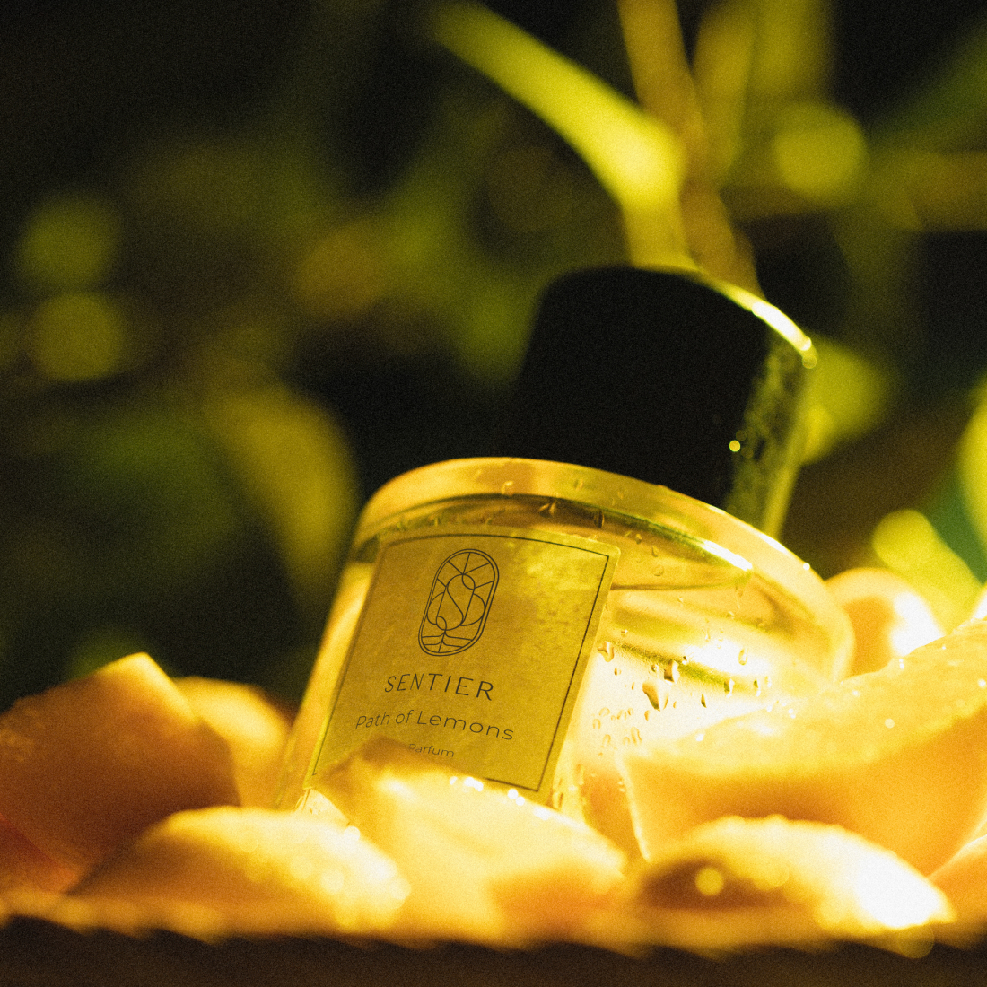 Eau de parfum 'Path of Lemons' - 100 ml