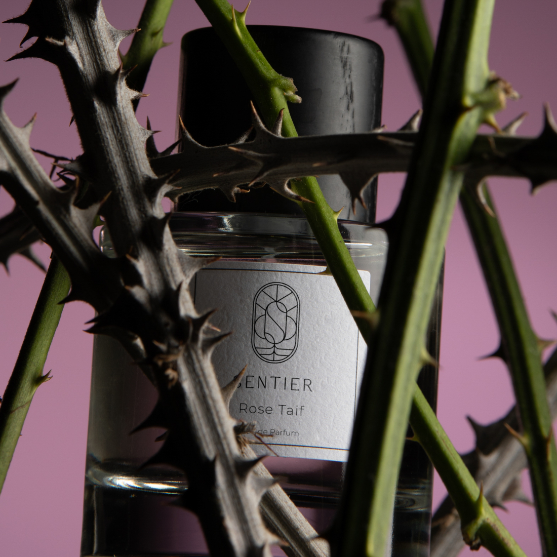 Eau de parfum 'Rose Taif' - 100 ml