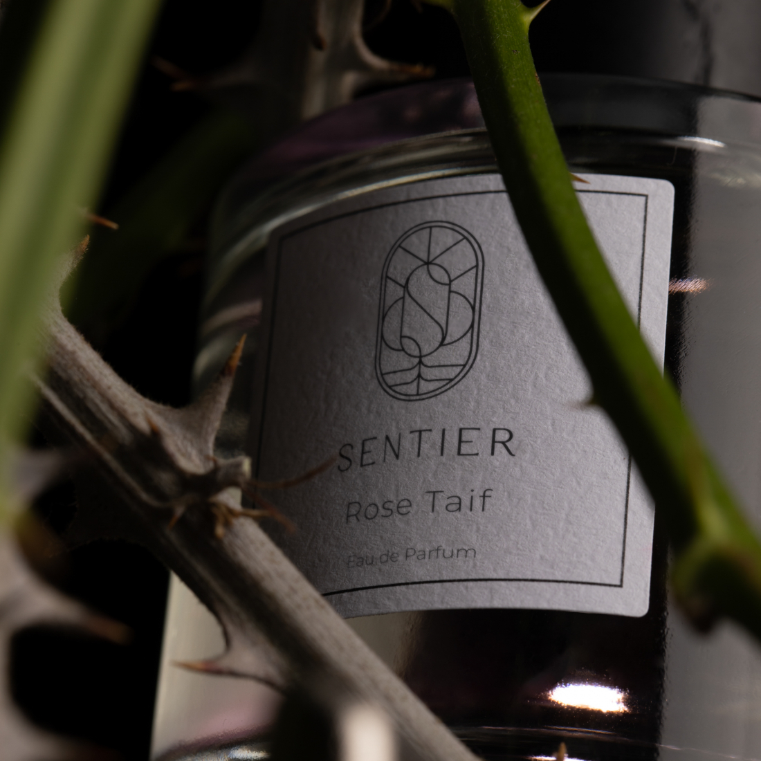Eau de parfum 'Rose Taif' - 100 ml