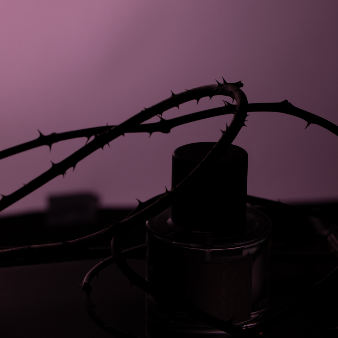 Eau de parfum 'Rose Taif' - 100 ml