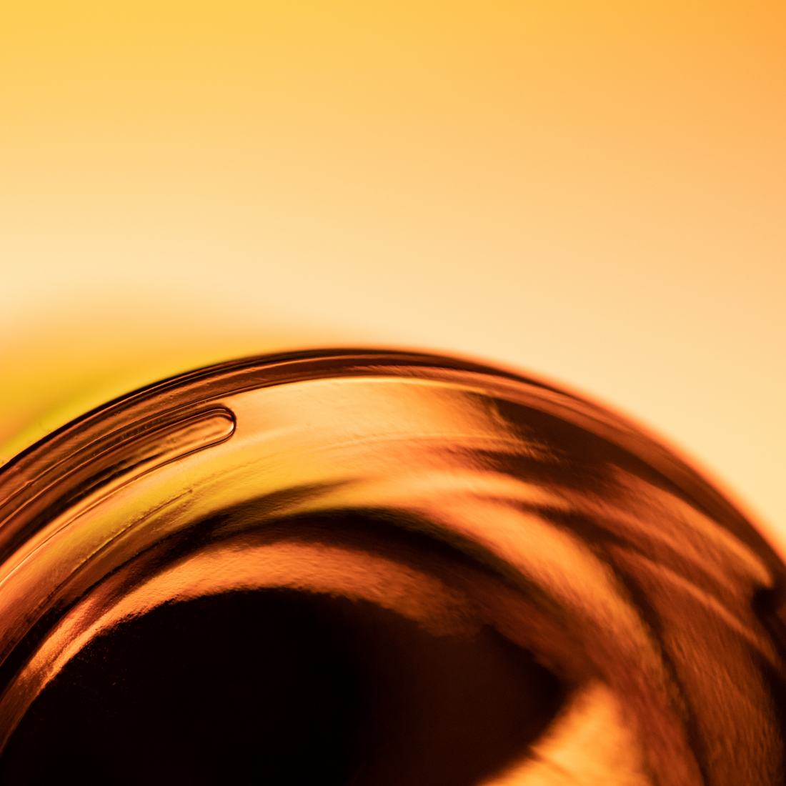 Eau de parfum 'Mémoire du temps' - 100 ml