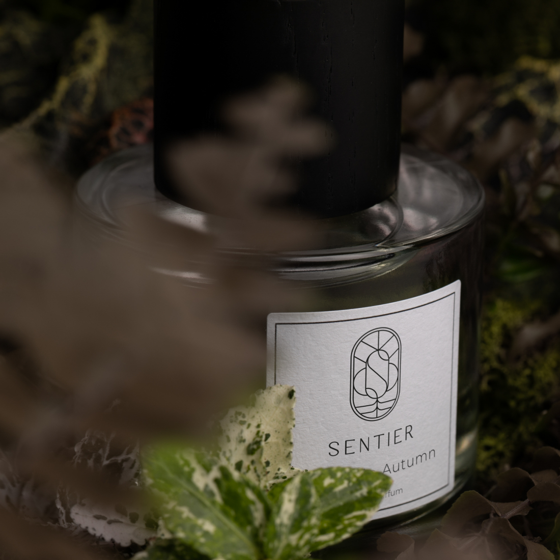 'Balade in Autumn' Eau De Parfum - 100 ml