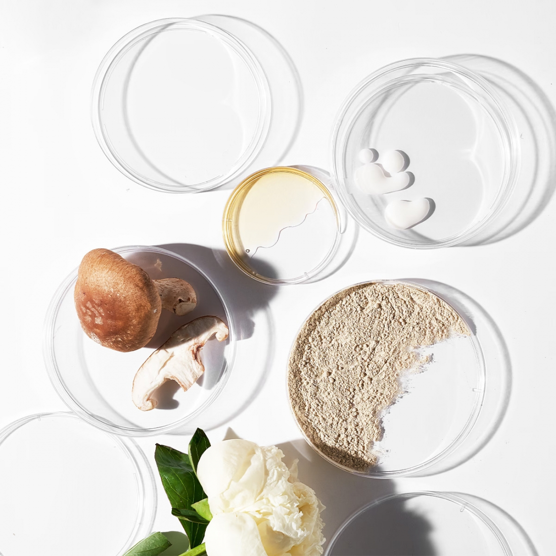 'PowerBright' Anti-Dark Spot Serum - 30 ml