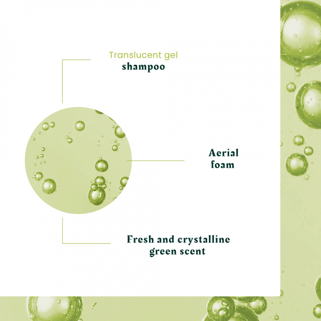 Shampoing 'Volumea Expanseur' - 200 ml, 2 Pièces