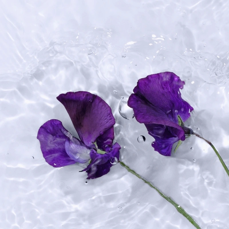 Eau de toilette 'L'Eau D'Issey Solar Violet Intense' - 100 ml