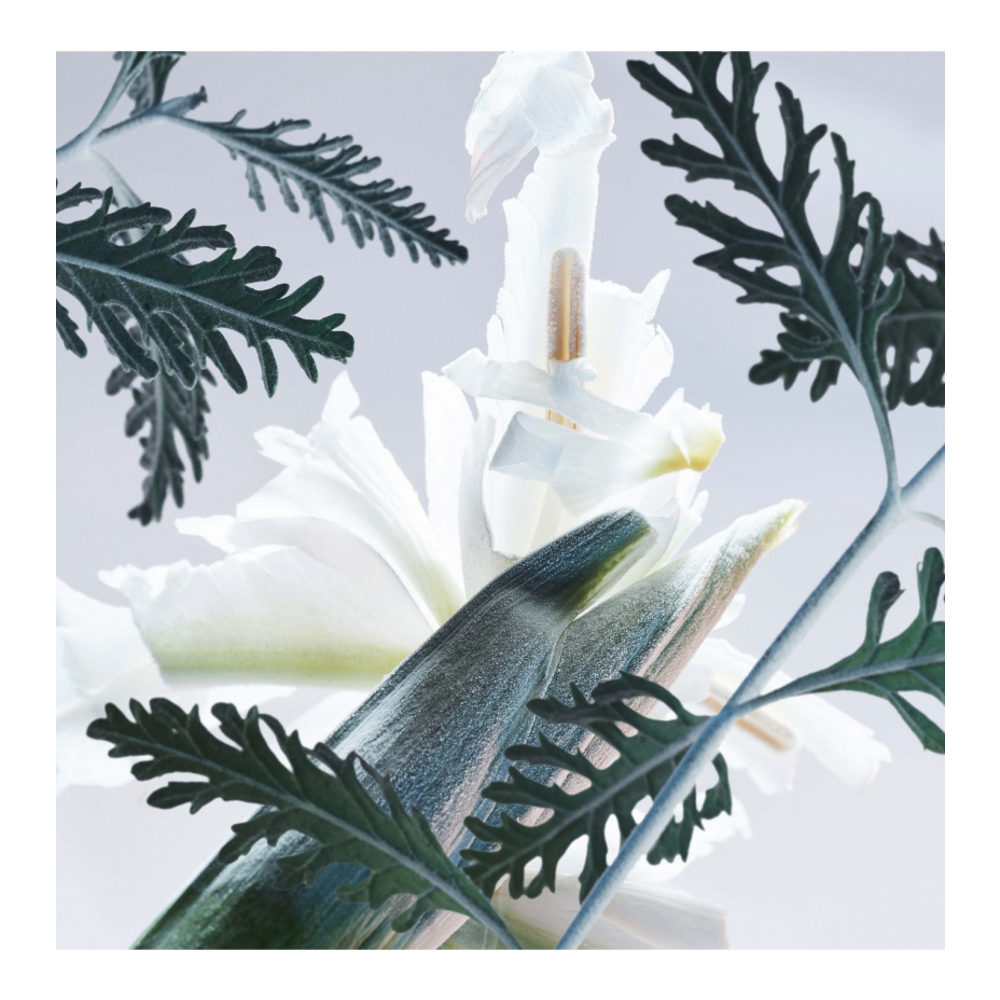 'Man Glacial Essence' Eau de parfum - 60 ml