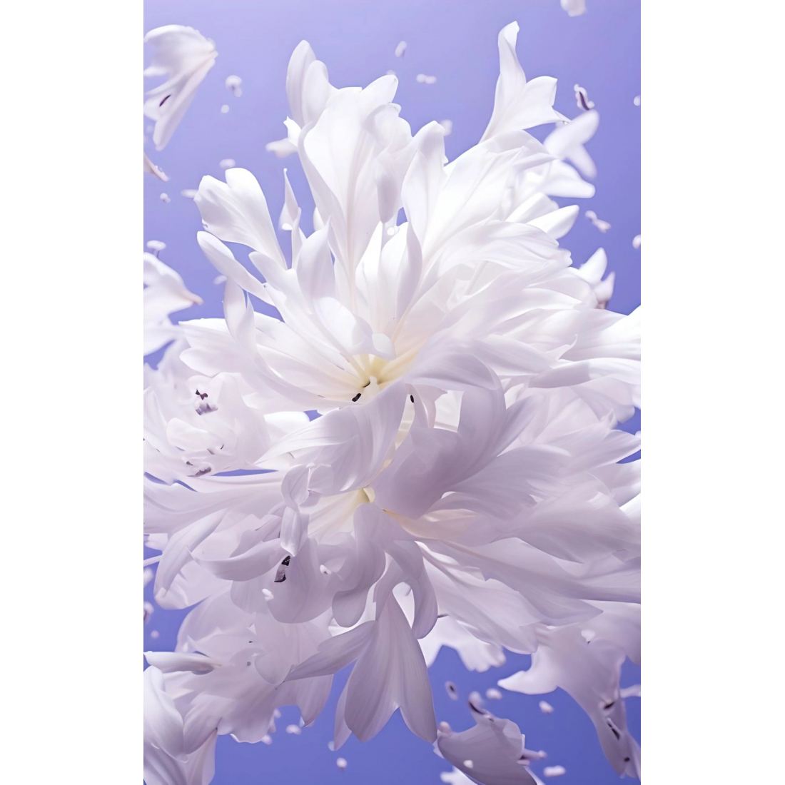 Eau de parfum 'Scandal Pour Femme' - 50 ml