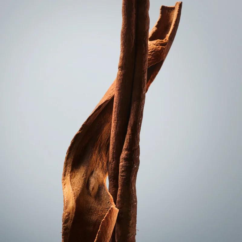 Eau de toilette 'Boss Bottled' - 50 ml