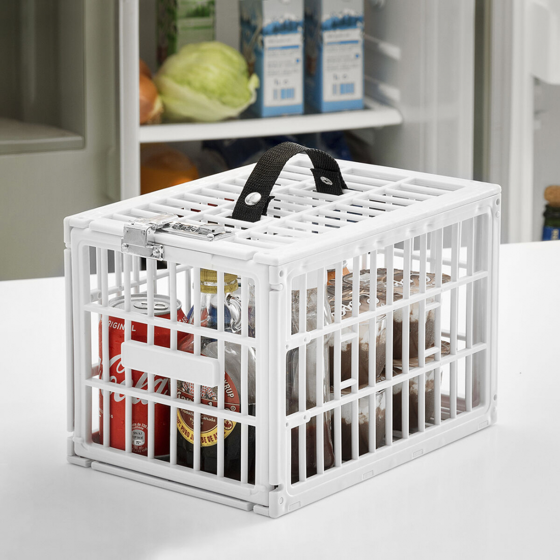 Cage de Sécurité pour Réfrigérateurs Food Safe