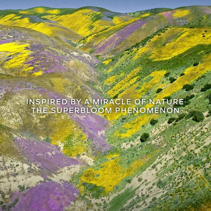 Eau de toilette - Rechargeable 'Aqua Allegoria Florabloom' - 125 ml