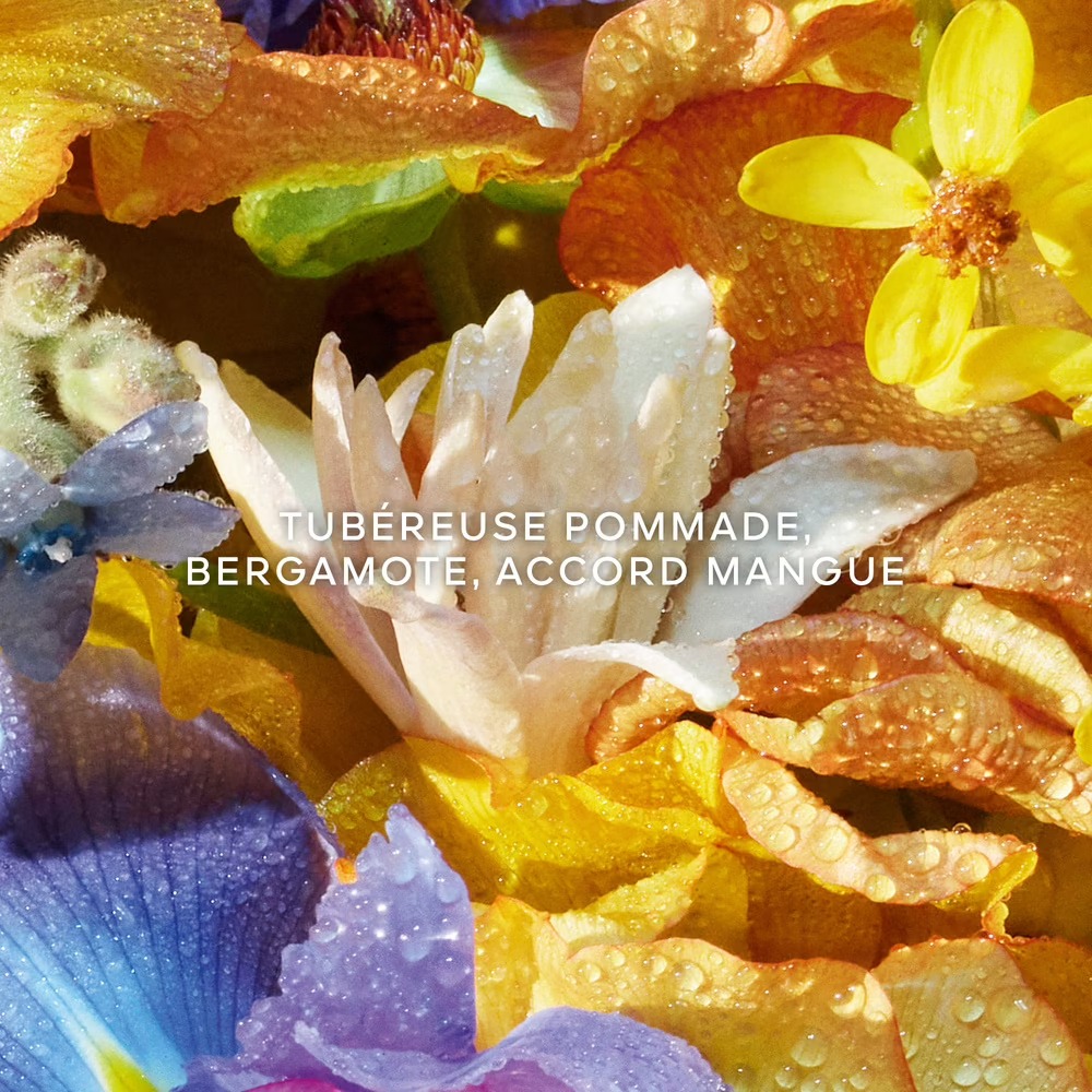 Eau de toilette - Recharge 'Aqua Allegoria Florabloom' - 200 ml