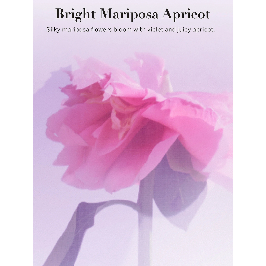 'Bright Mariposa Apricot' Body Mist - 250 ml