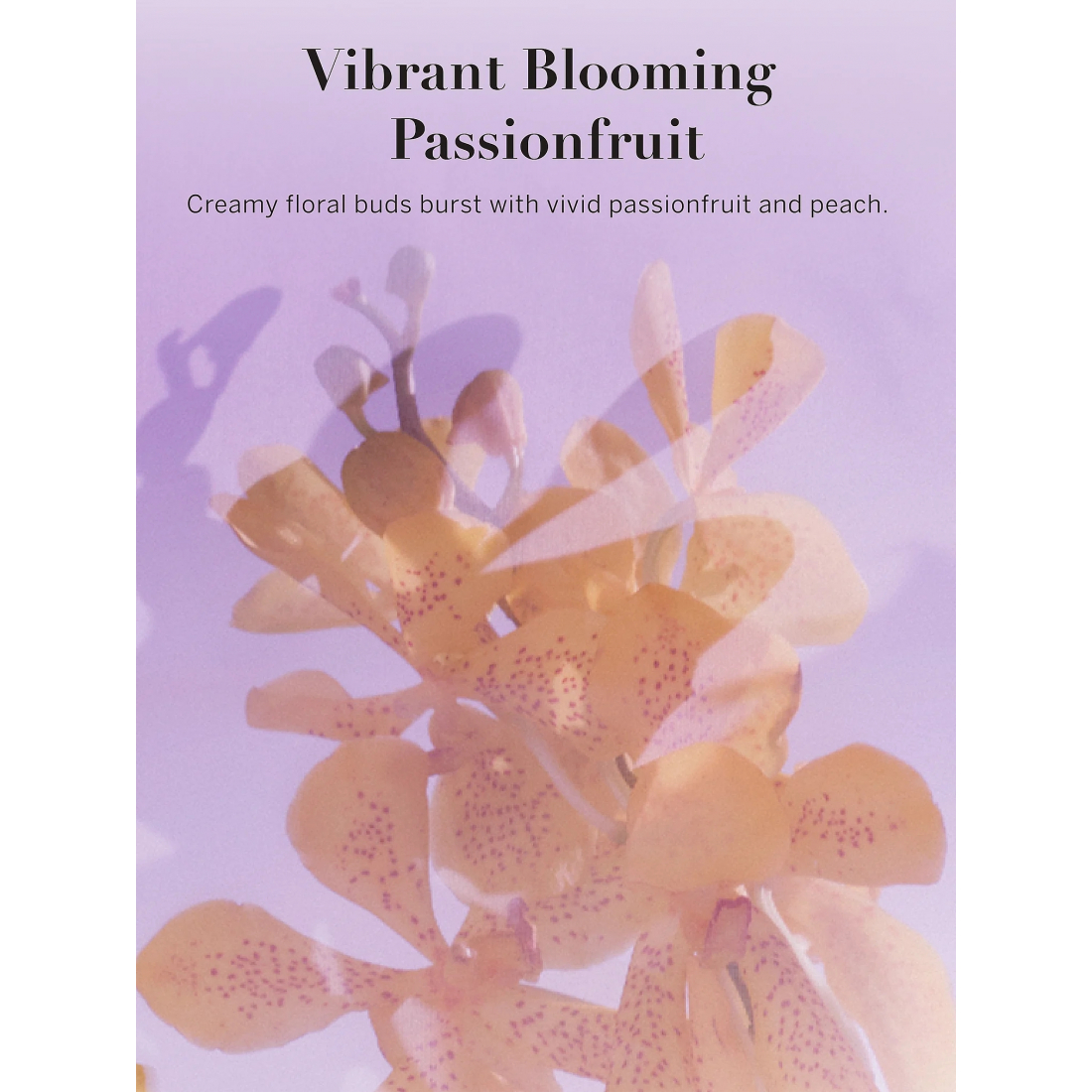 'Vibrant Blooming Passionfruit' Body Mist - 250 ml