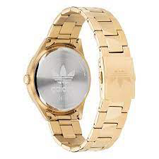 Montre 'AOFH22062' pour Hommes