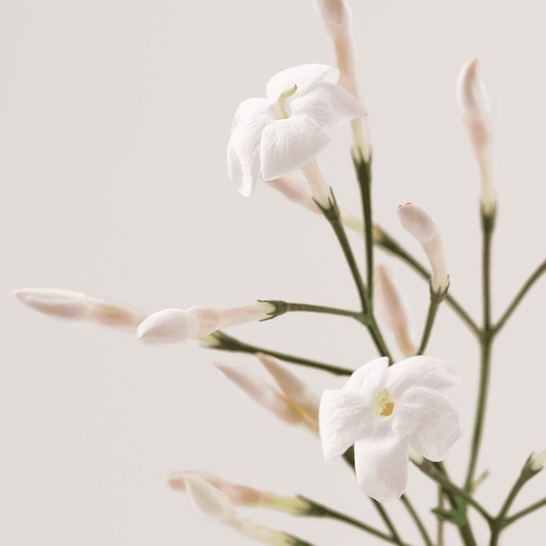 Set de sérum 'My Period La Cure' - 9 Ampoules, 1.5 ml