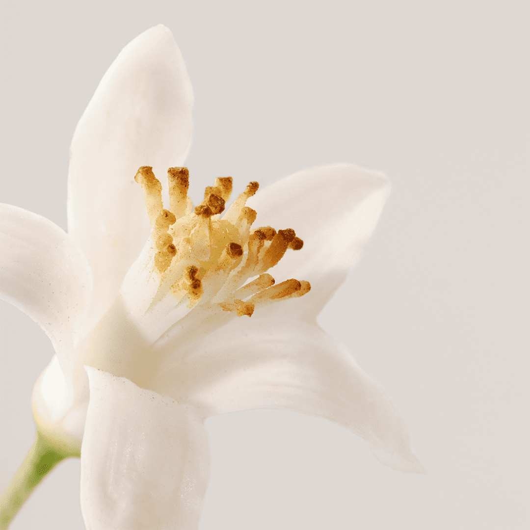 Démaquillant 'Nue' - 50 g