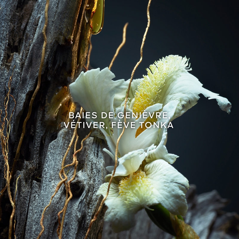 Parfum 'Vétiver' - 100 ml