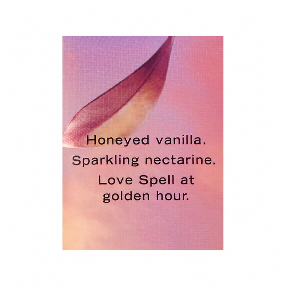 'Love Spell Golden' Body Lotion - 236 ml