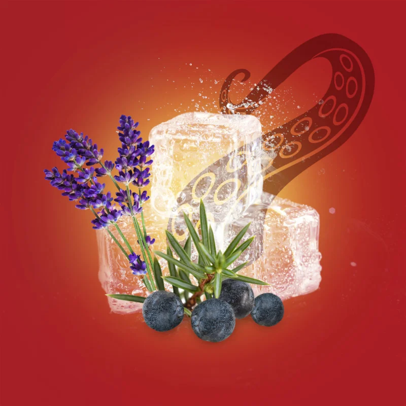 Déodorant spray 'Krankengard' - 150 ml