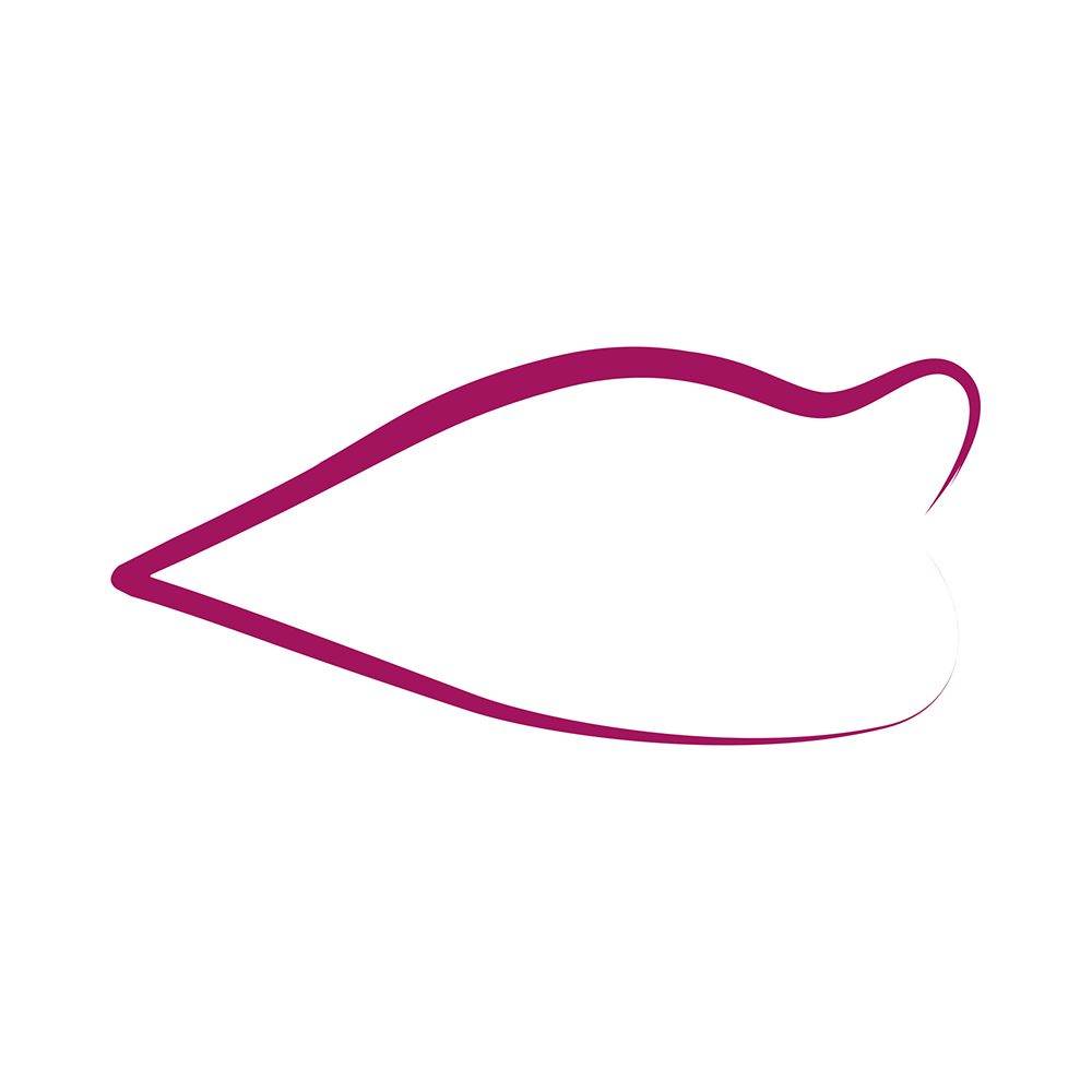 'Tatoo' Lip contour pen, Lip Liner - #500 Prune