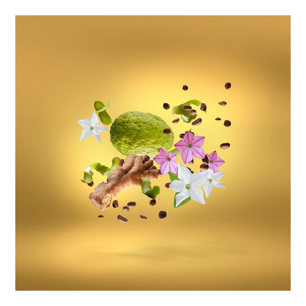 Eau de parfum 'Shooting Stars Uden Overdose' - 50 ml