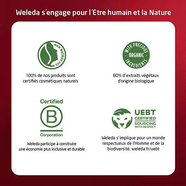 'Pomegranate & Maca' Firming Night Cream - 40 ml