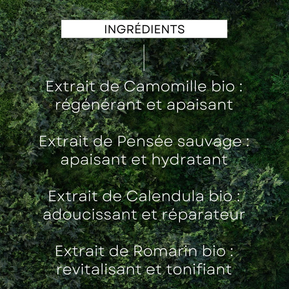 'Skin Food Sublimating' Dry Oil - 100 ml