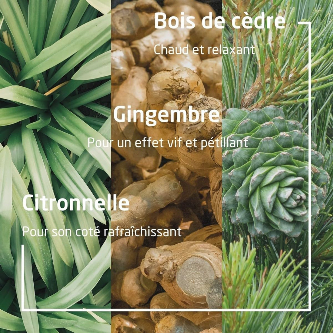 'Aroma Shower Energy' Shower Gel - 400 ml