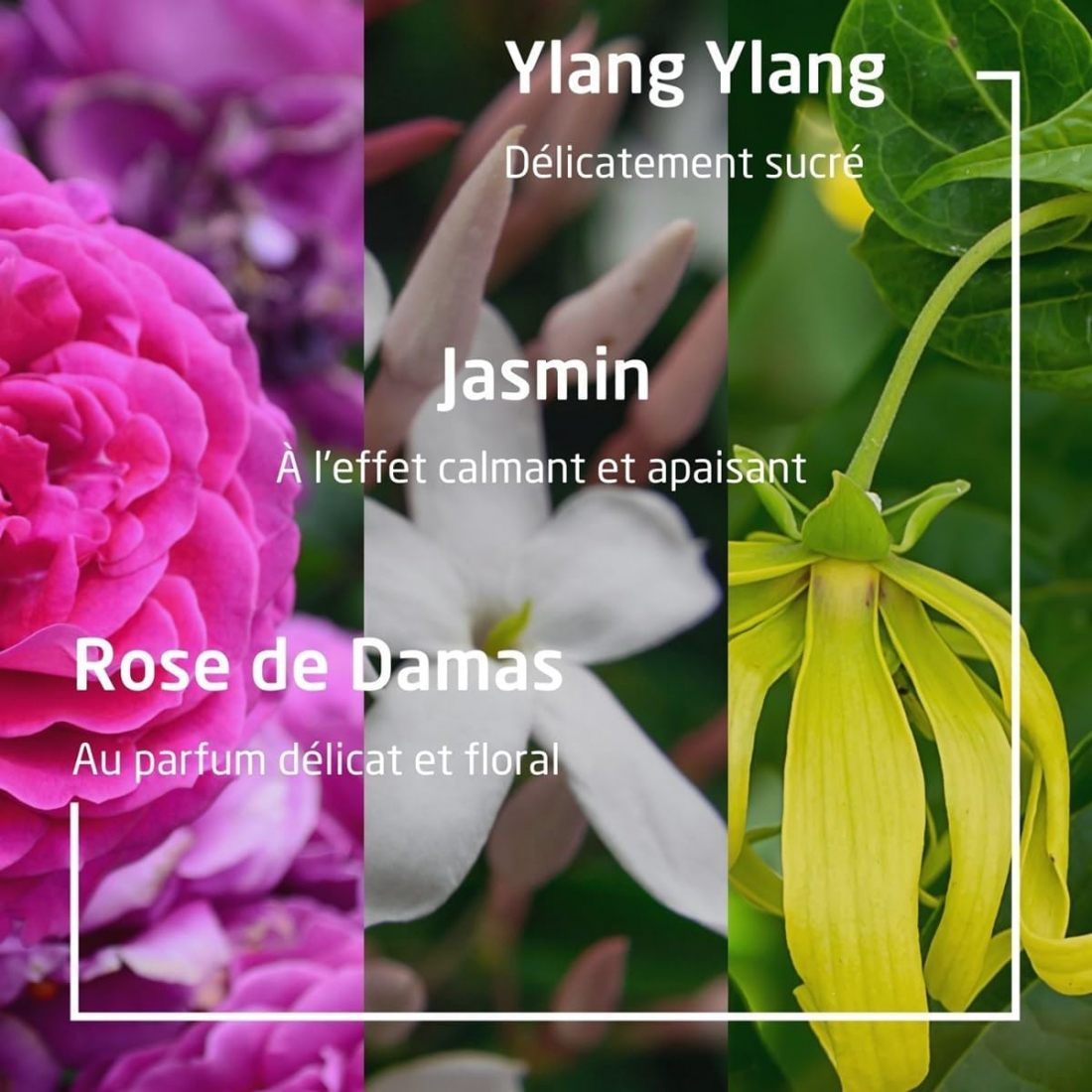 'Aroma Shower Love' Shower Cream - 400 ml